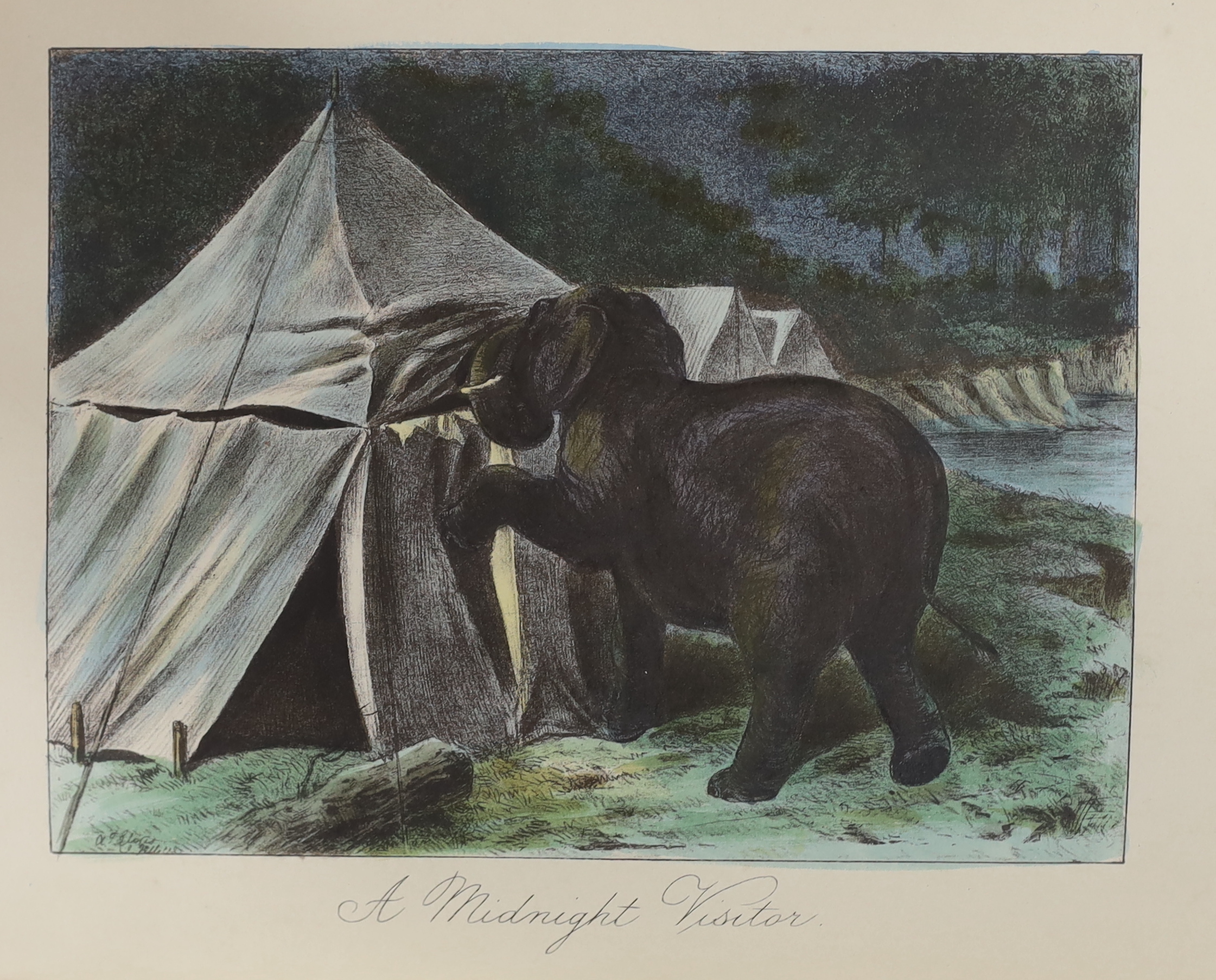 Sanderson, G.P. - Thirteen Years Among the Wild Beasts of India ... with an Account of the Modes of Capturing and Taming Elephants. 3rd edition, hand coloured lithographed frontis., 3 maps and 19 plates (from lithographs